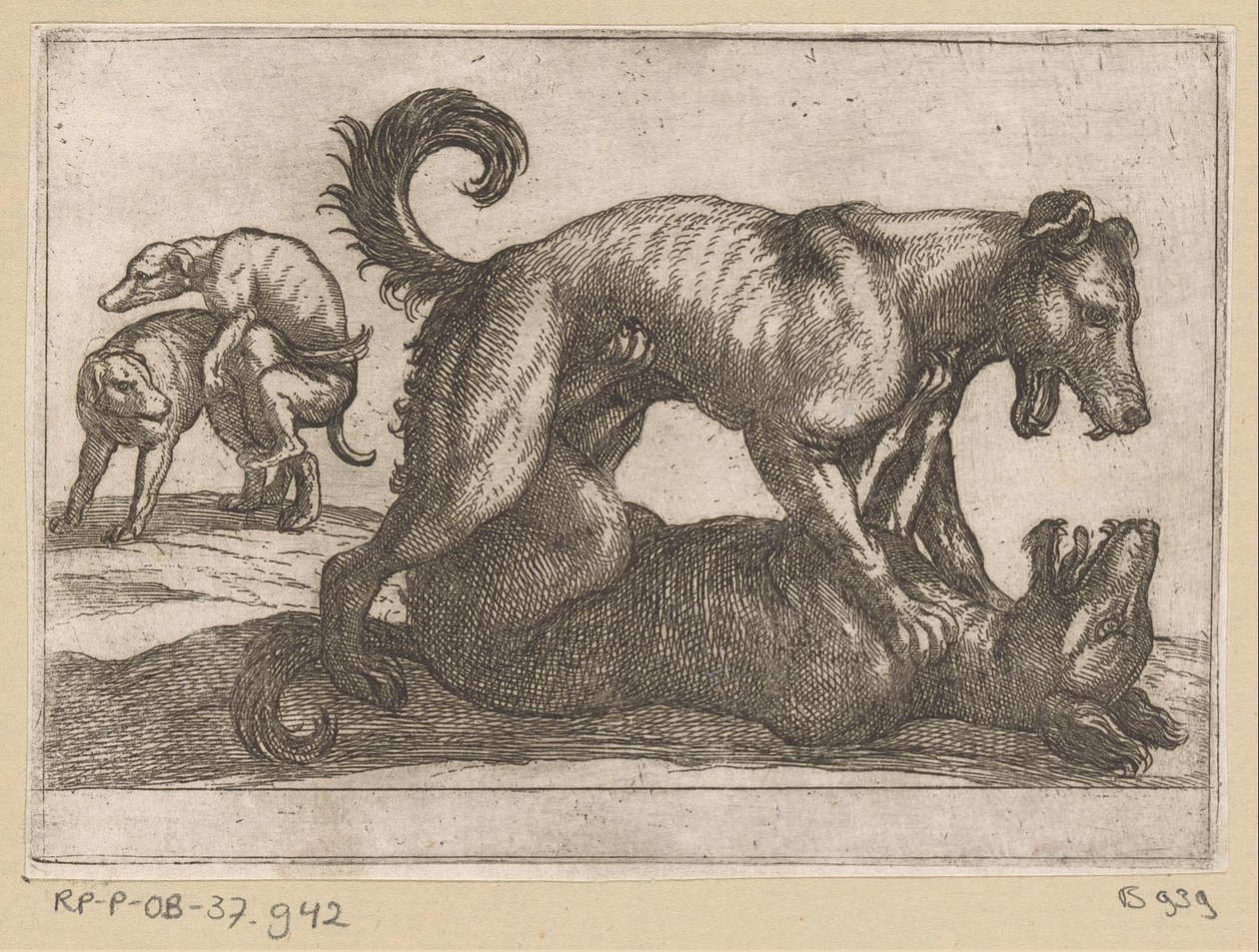Due cani che si accoppiano e due che combattono da Antonio Tempesta