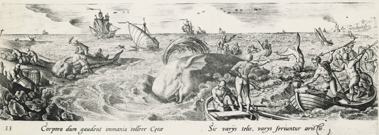 Caccia alla balena da Antonio Tempesta