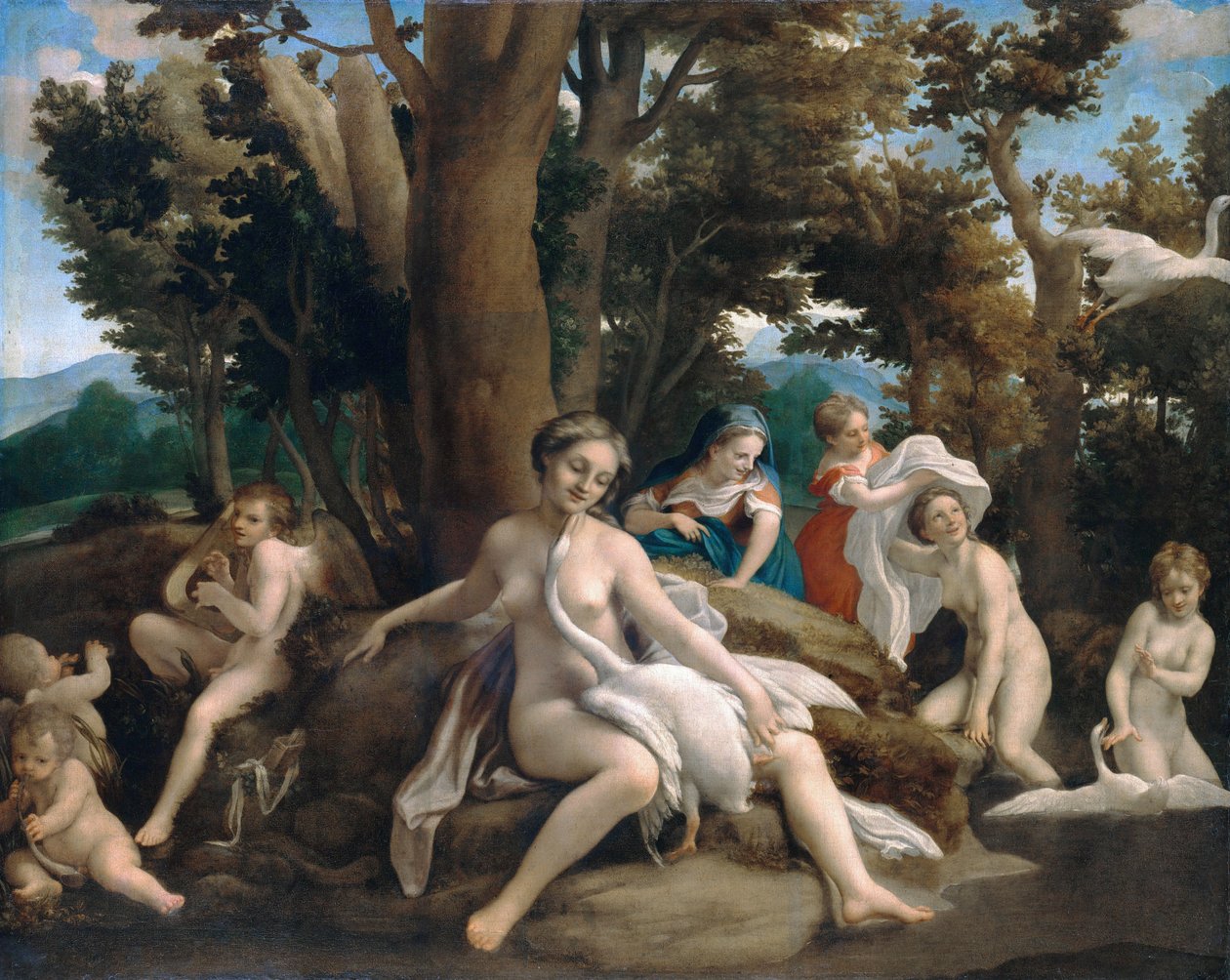 Leda e il cigno da Antonio da Correggio
