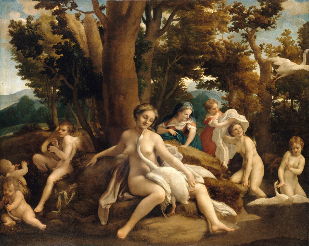 Leda e il cigno da Antonio da Correggio