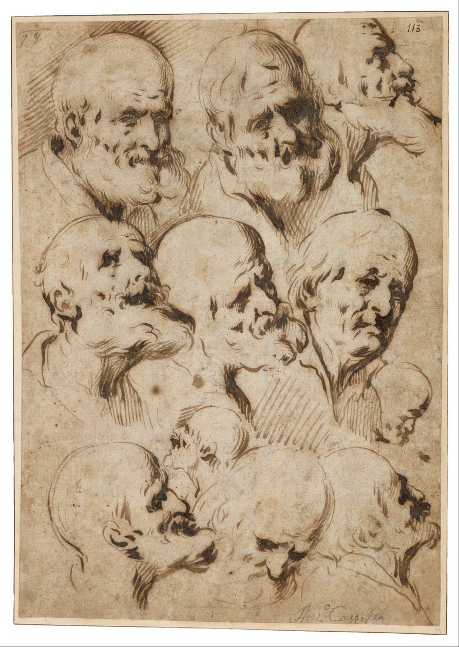 Studio delle teste degli apostoli da Antonio del Castillo y Saavedra