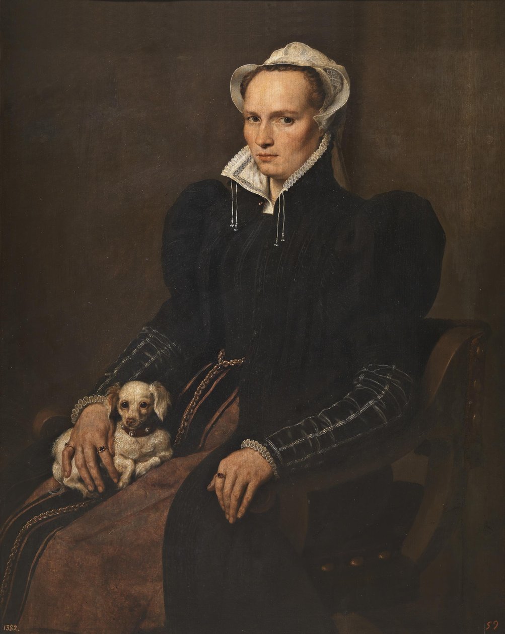 Ritratto di donna sconosciuta da Antonis Mor