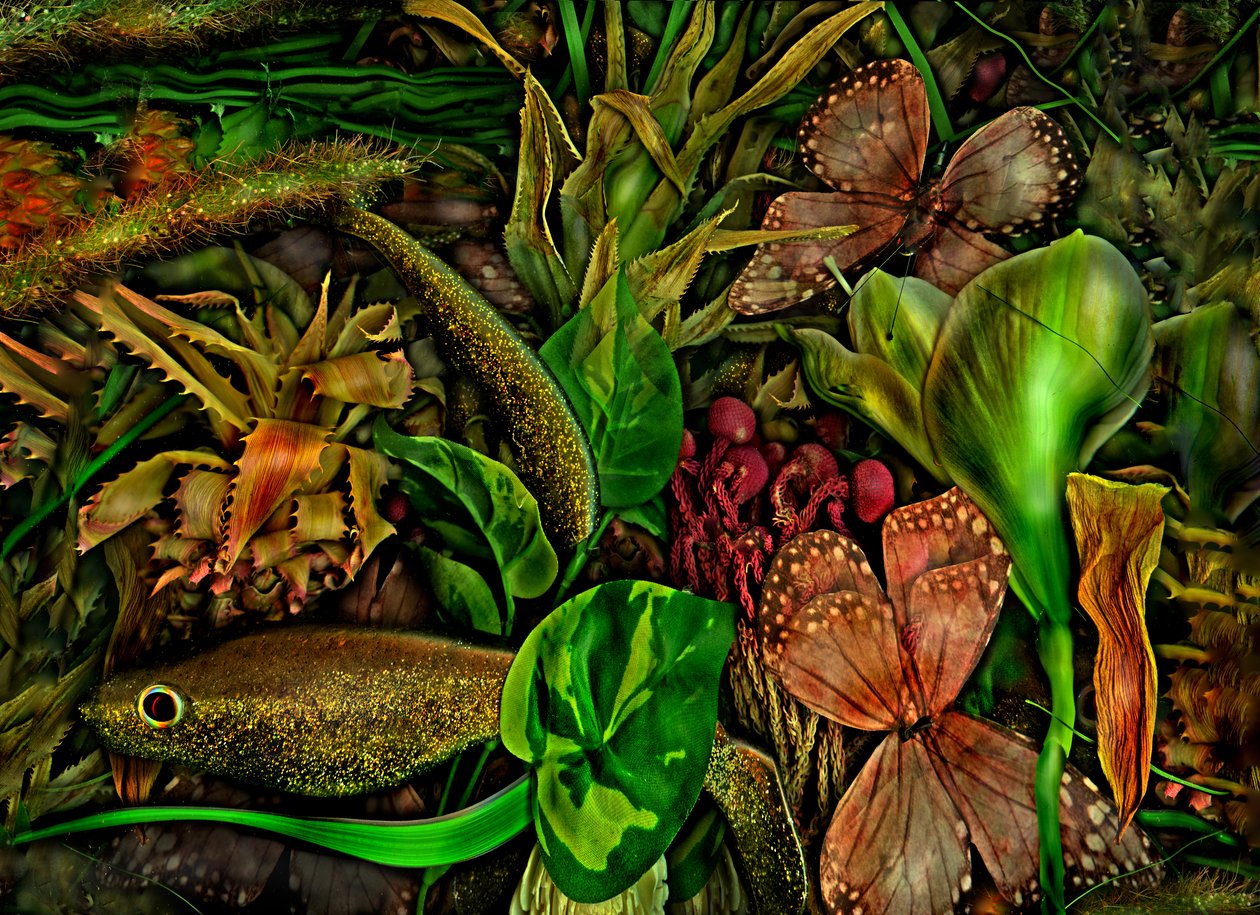  da Antonius Antonius