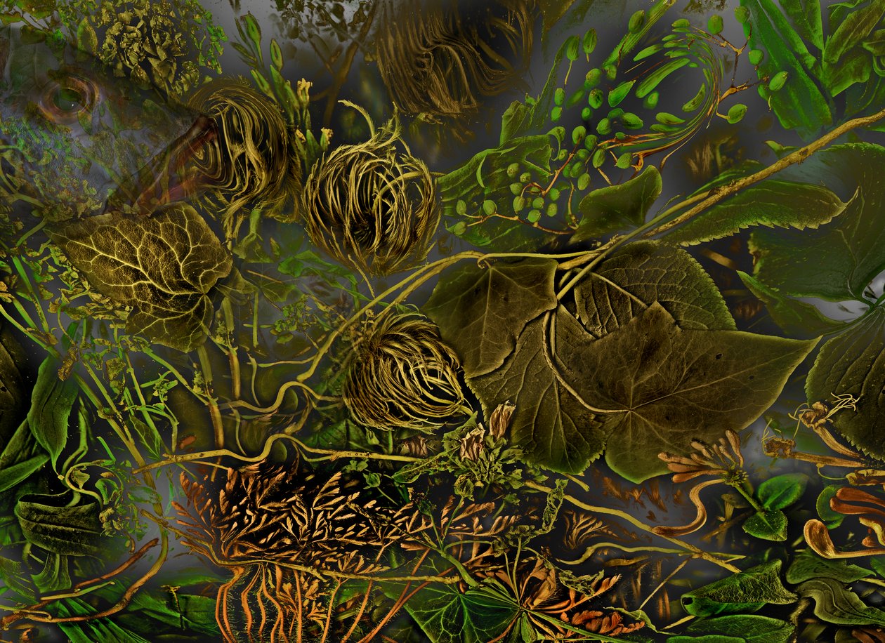  da Antonius Antonius