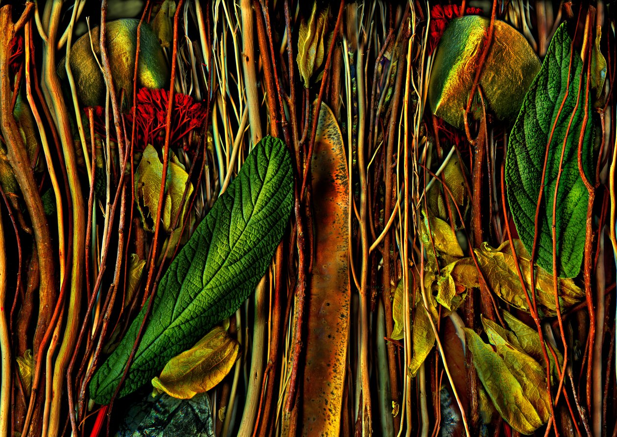  da Antonius Antonius