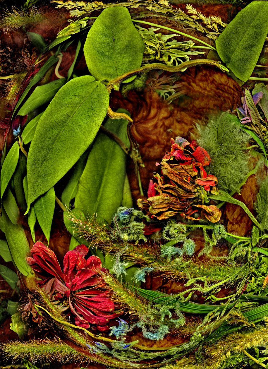  da Antonius Antonius