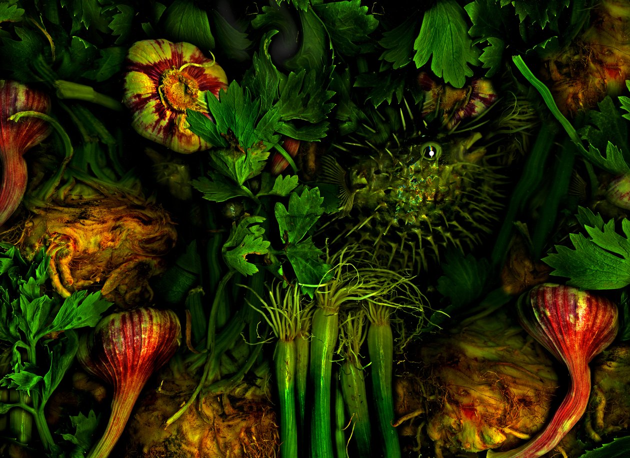  da Antonius Antonius