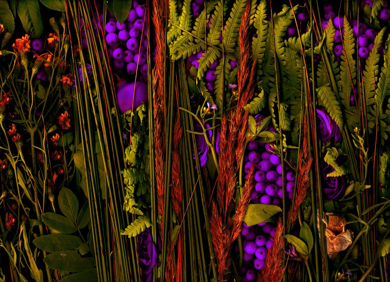  da Antonius Antonius