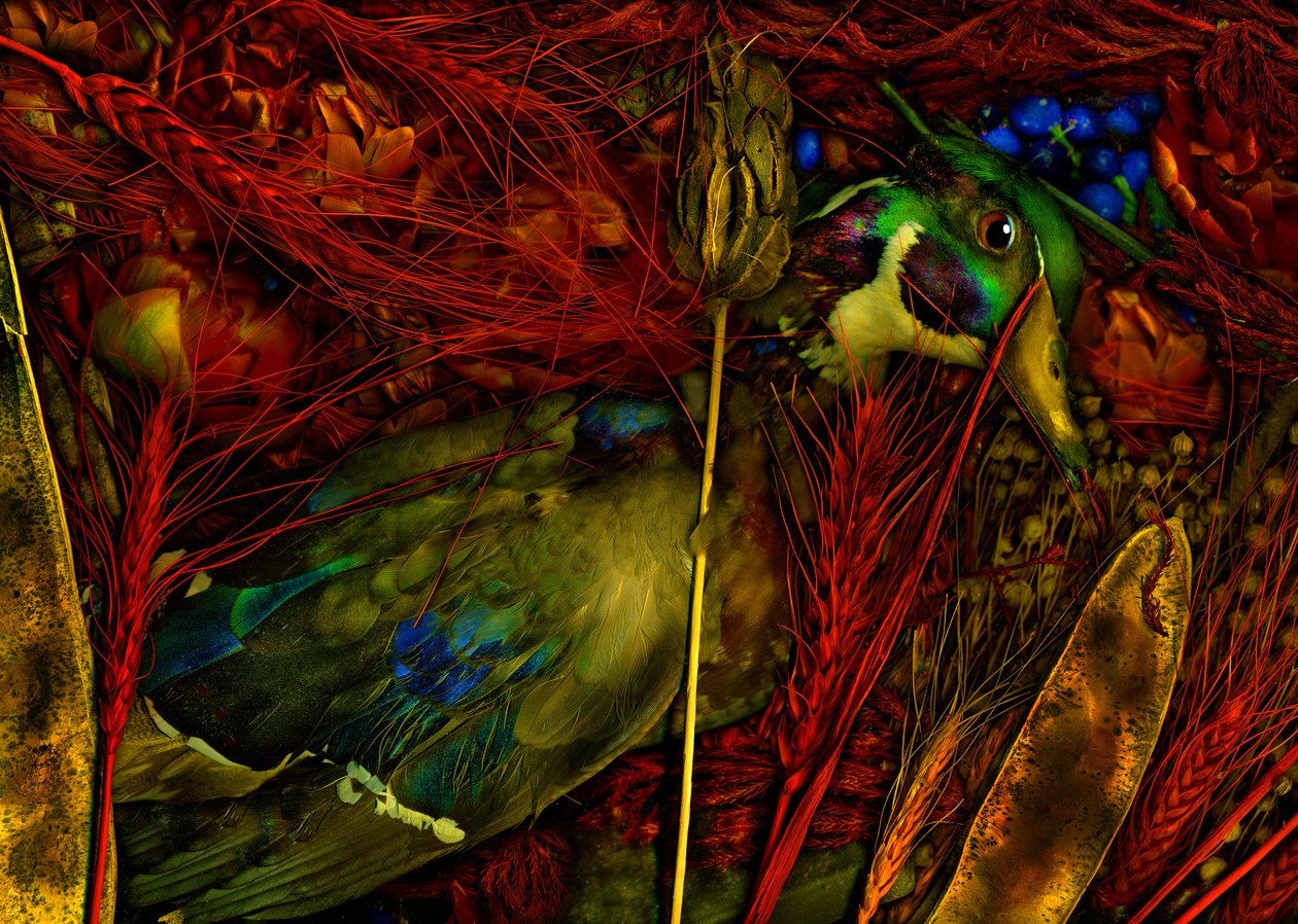  da Antonius Antonius