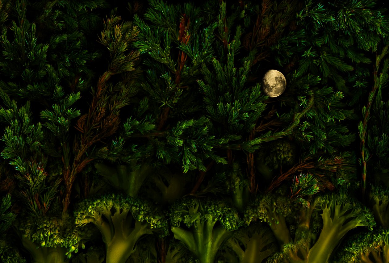  da Antonius Antonius