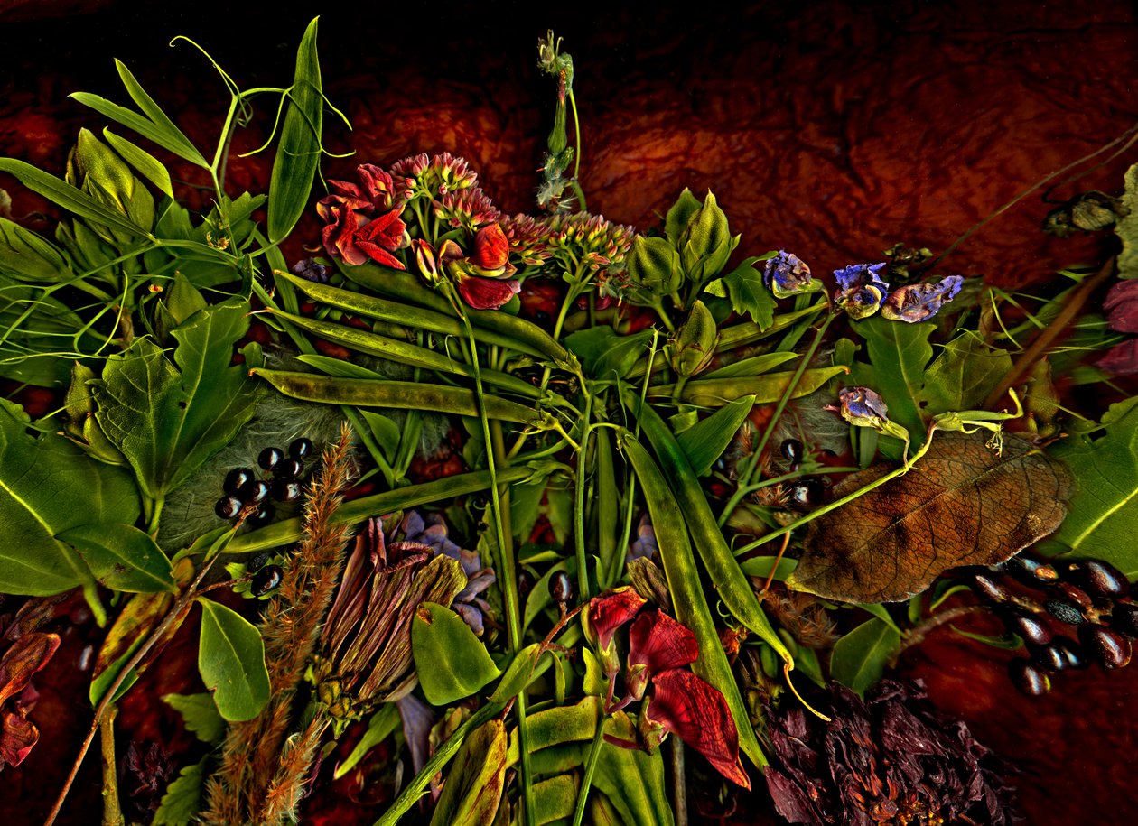  da Antonius Antonius