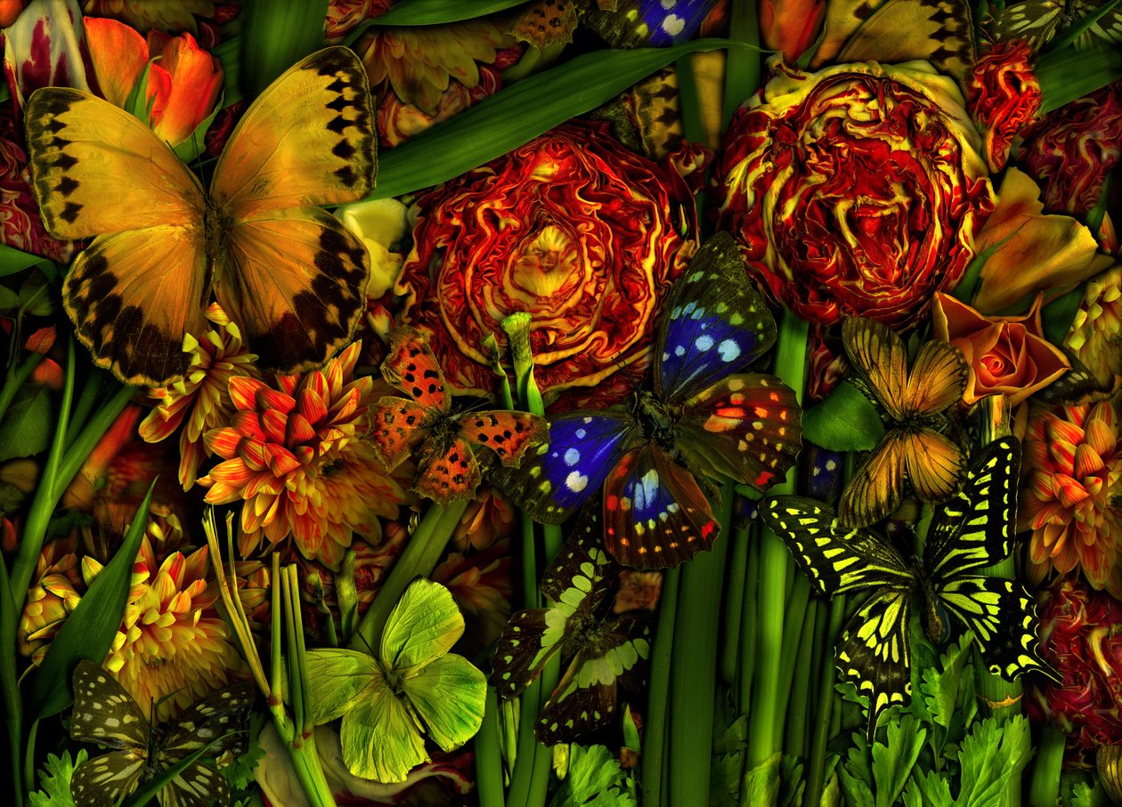  da Antonius Antonius