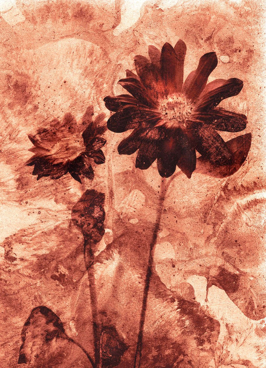  da Antonius Antonius