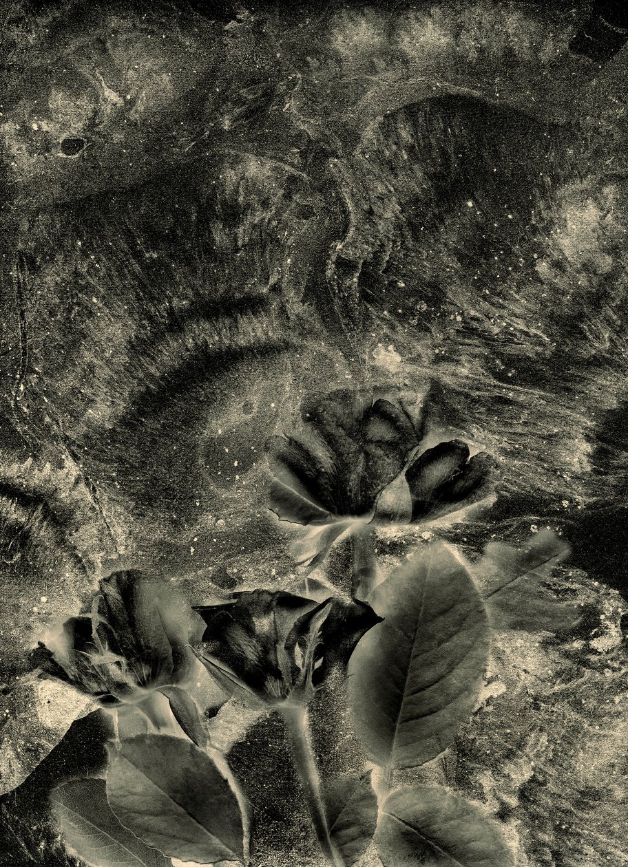  da Antonius Antonius