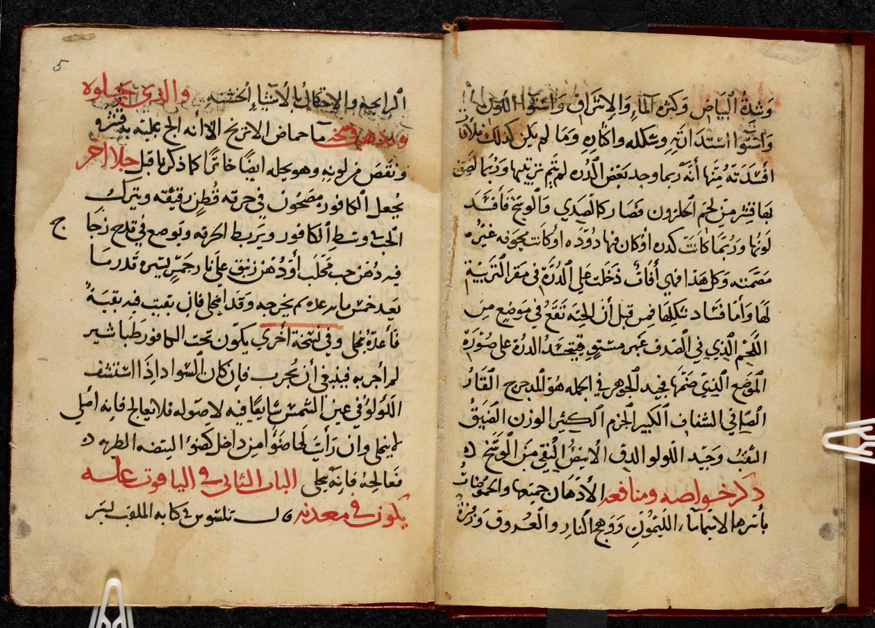 Pagine di un manoscritto, copiato nel 799 AH/AD 1397, del Kitab al-Ahjar di Ahmad bin Yusuf Al-Tifashi, o Libro delle Gemme da Arabic School