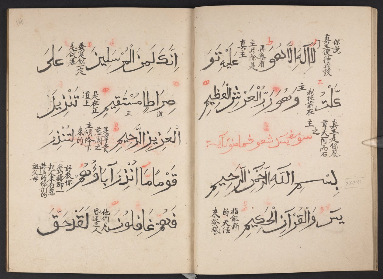 Corano, BL IO Islamic 3440, f.13v-14r da Arabic School