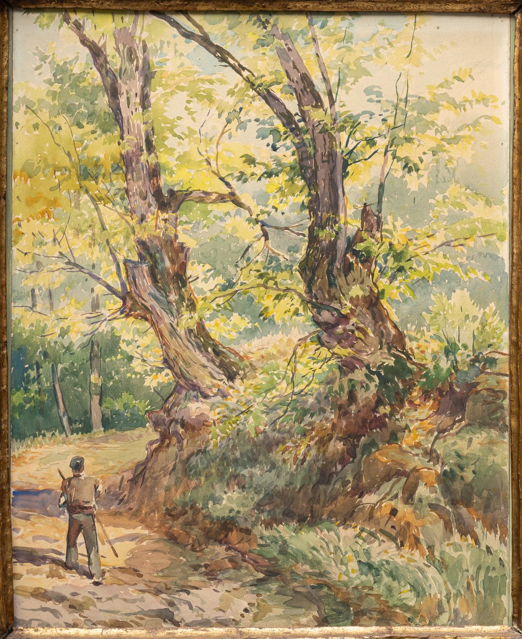 Figure nel bosco da Arcangelo Salvarani