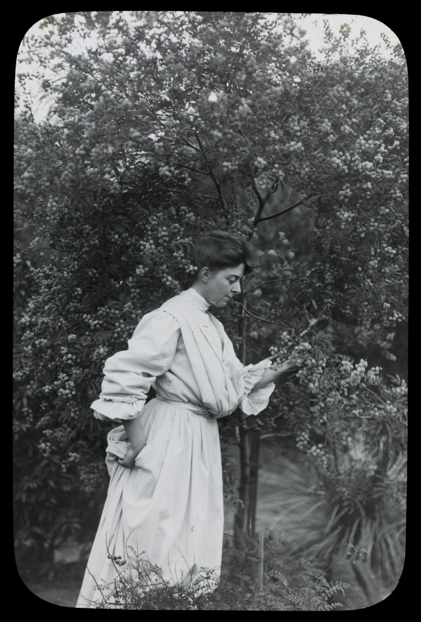 Amy Campbell con Wattle da Archibald James Campbell