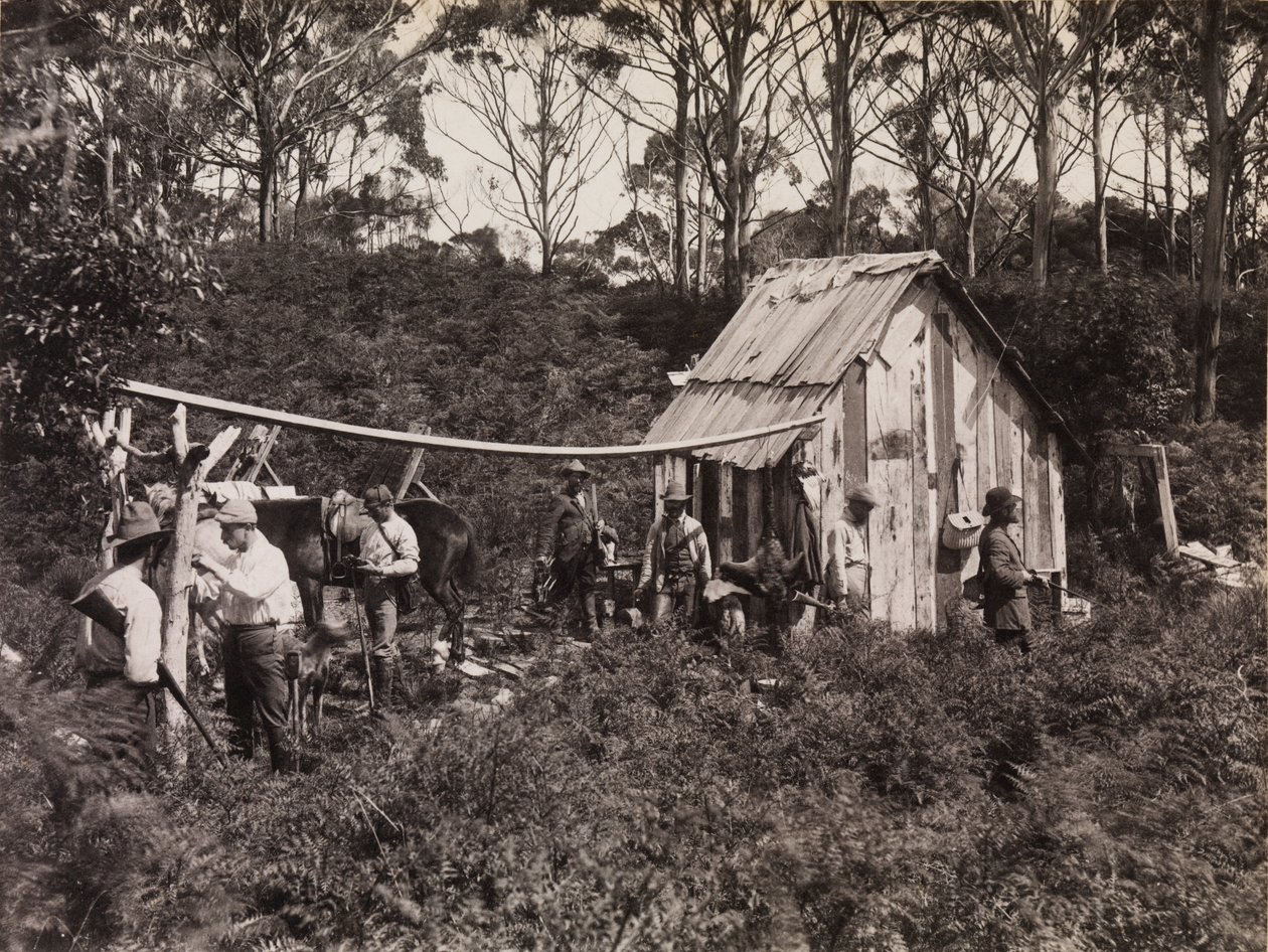 Capanna di Bertie, spedizione del Club dei Naturalisti a King Island da Archibald James Campbell