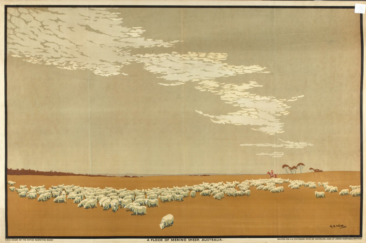 Un gregge di pecore Merino - Australia, dalla serie 