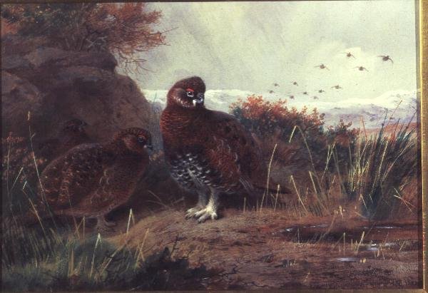 Grouse in un Paesaggio Invernale da Archibald Thorburn