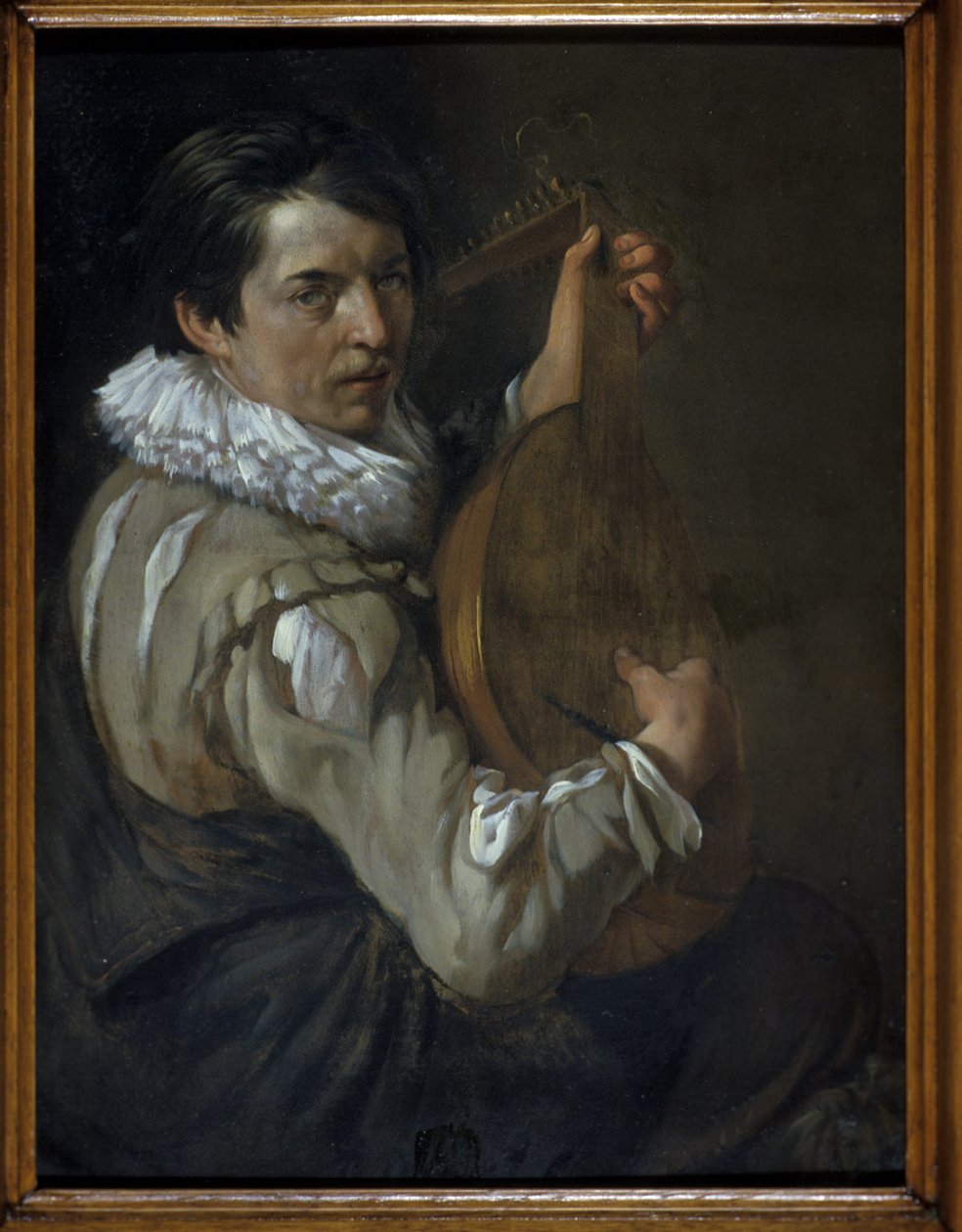 Il suonatore di liuto da Arie de Vois