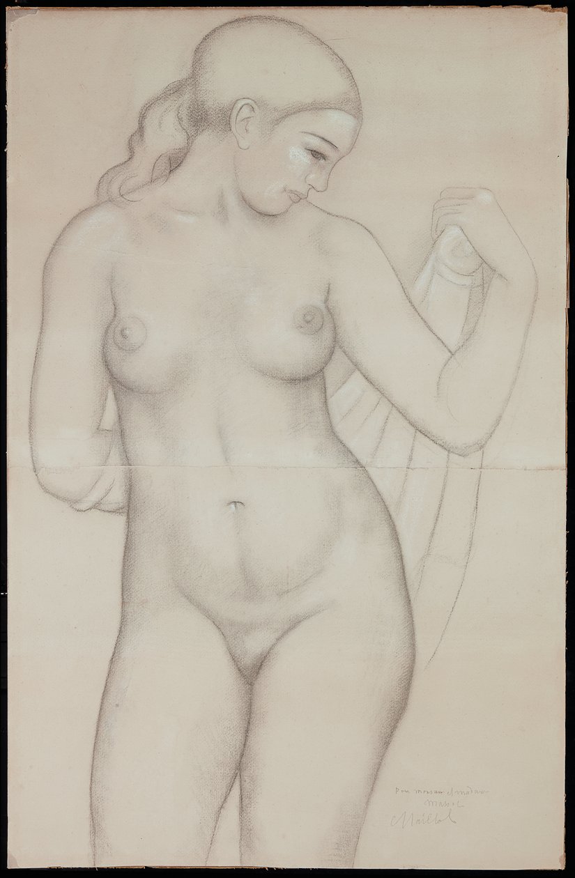 Dina di fronte, studio per 