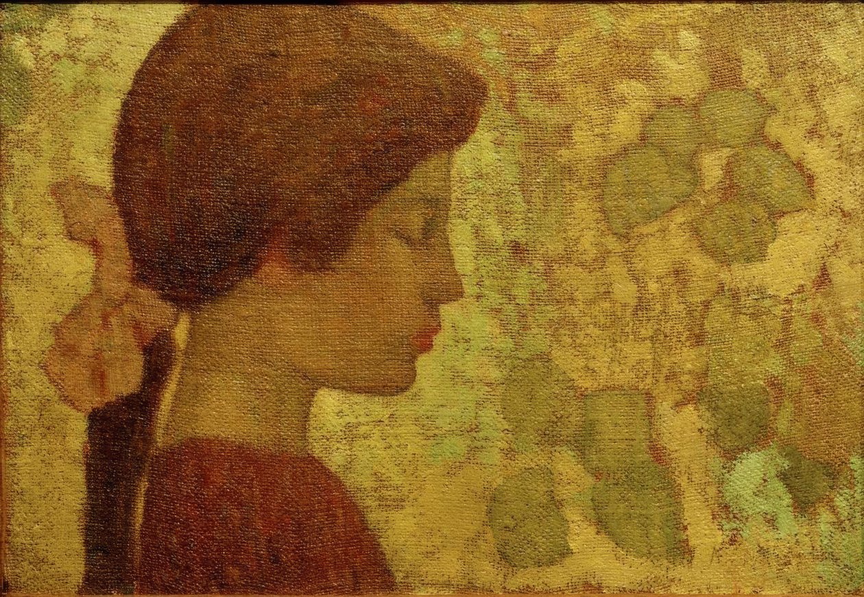 Ragazza di profilo da Aristide Maillol