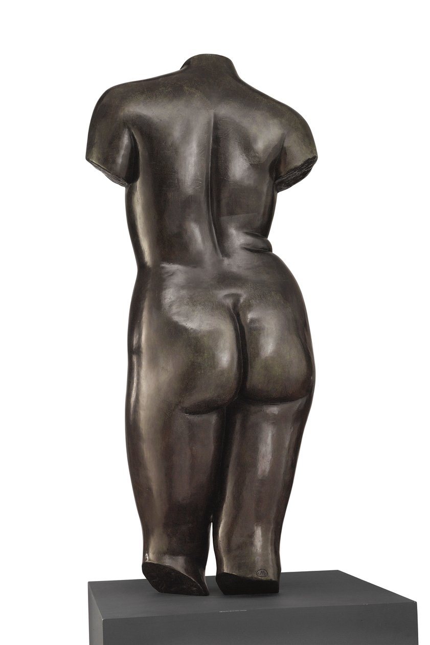 Torso di Venere (vista posteriore) da Aristide Maillol
