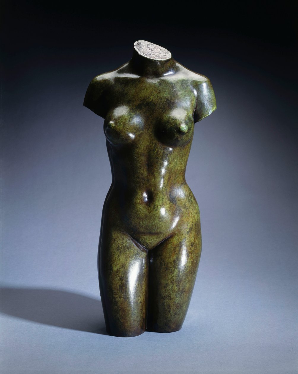 Torso di una giovane donna da Aristide Maillol