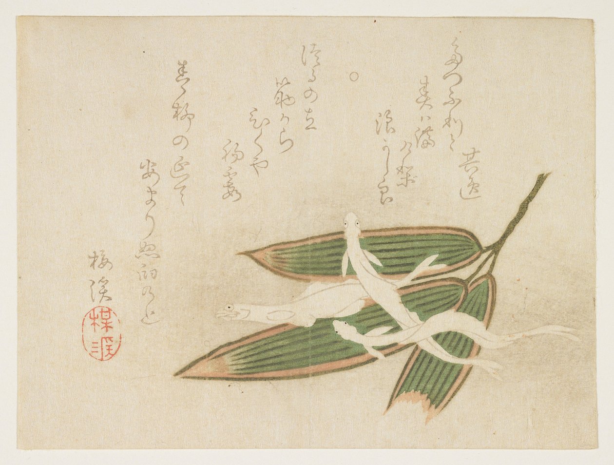 (Pesce bianco e foglie di bambù), c. 1860 da Ariwara Baikei