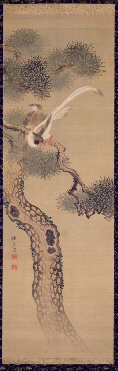 Uccelli dalla lunga coda su un pino, c.1800 da Ariwara Baikei