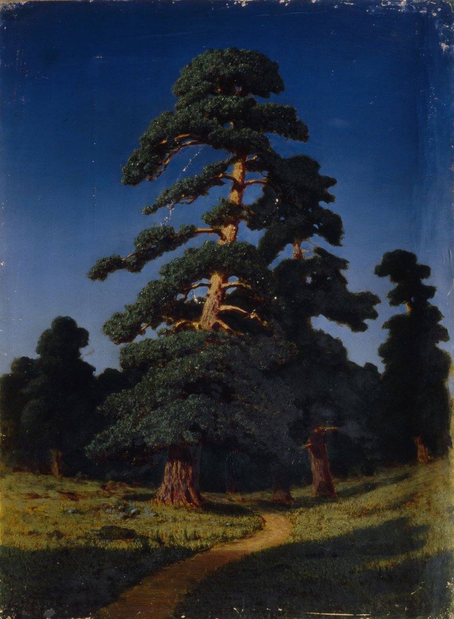 Pino da Arkhip Ivanovich Kuindzhi