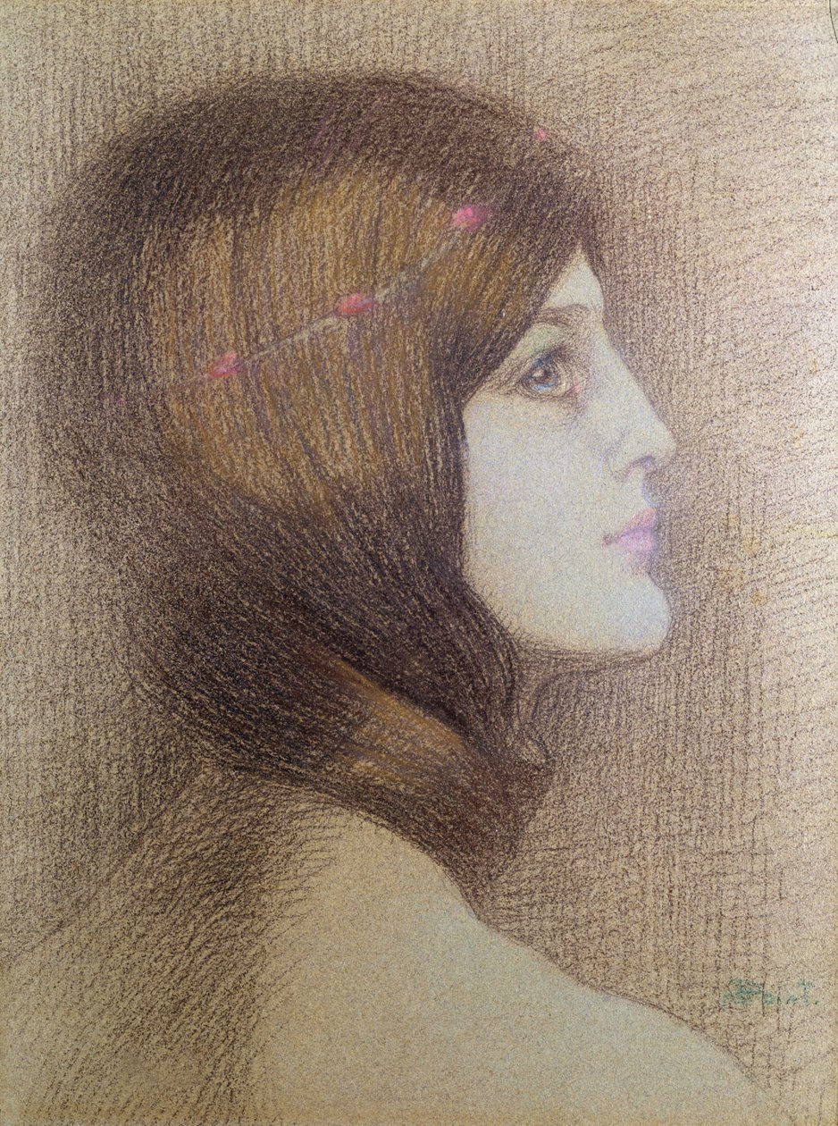 Ritratto di una Donna da Armand Point