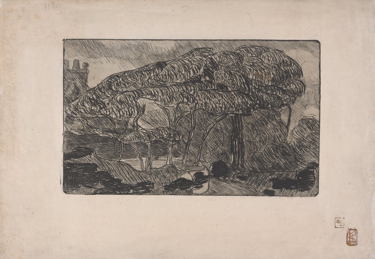 La Tempesta 1893 (acquaforte e acquaforte a cera molle) da Armand Séguin