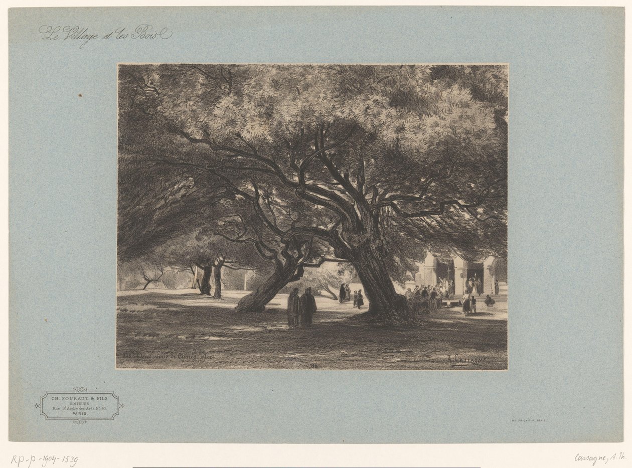 Querce presso la chiesa di Cimiez da Armand Theophile Cassagne
