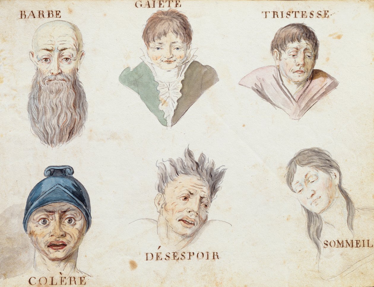 Illustrazioni da 