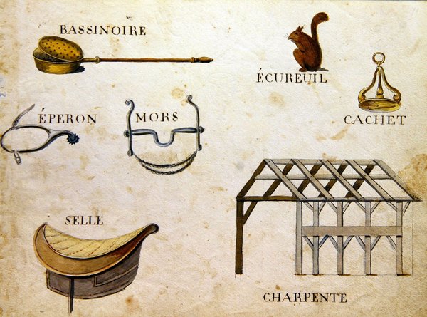 Illustrazioni da 