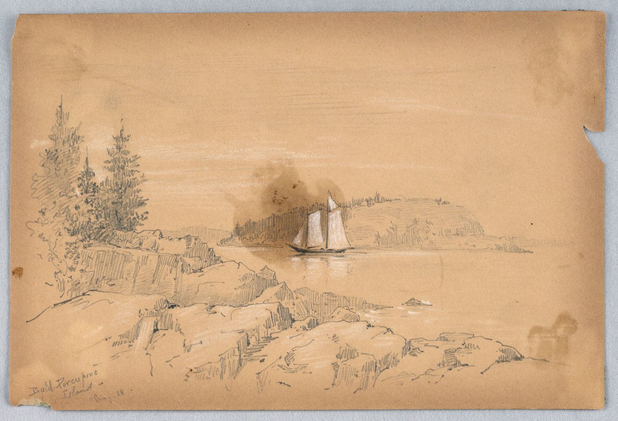 Isola del Porcospino Calvo da Arnold William Brunner