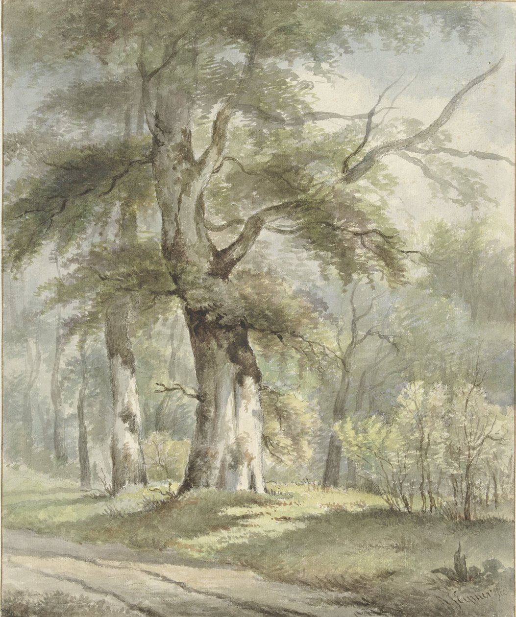Paesaggio boschivo da Arnoldus Johannes Eymer