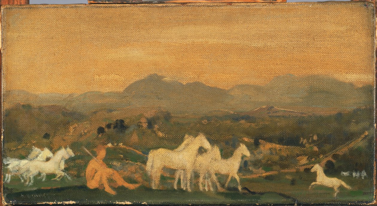 Cavalli dell
