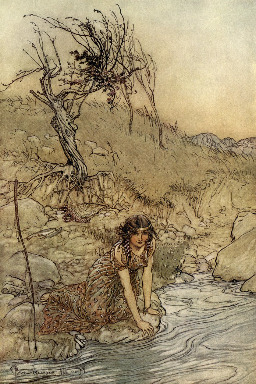 Sogno di una notte di mezza estate da Arthur Rackham