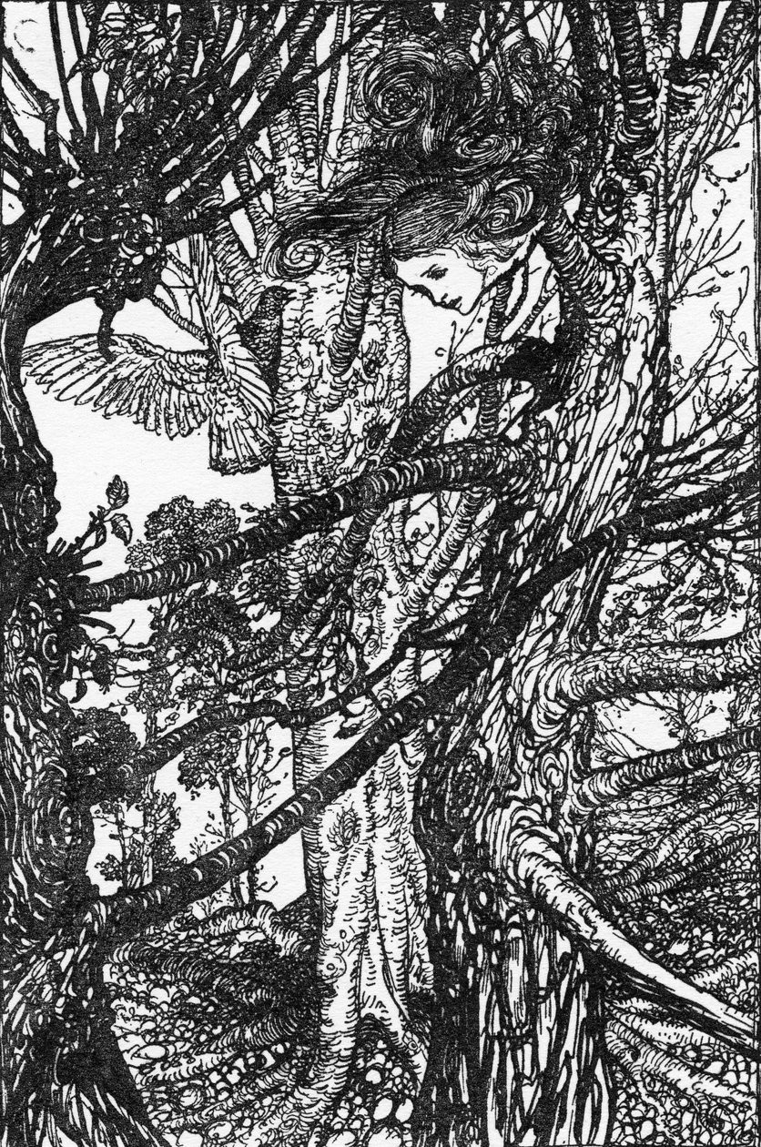 Le avventure di Alice nel Paese delle Meraviglie da Arthur Rackham