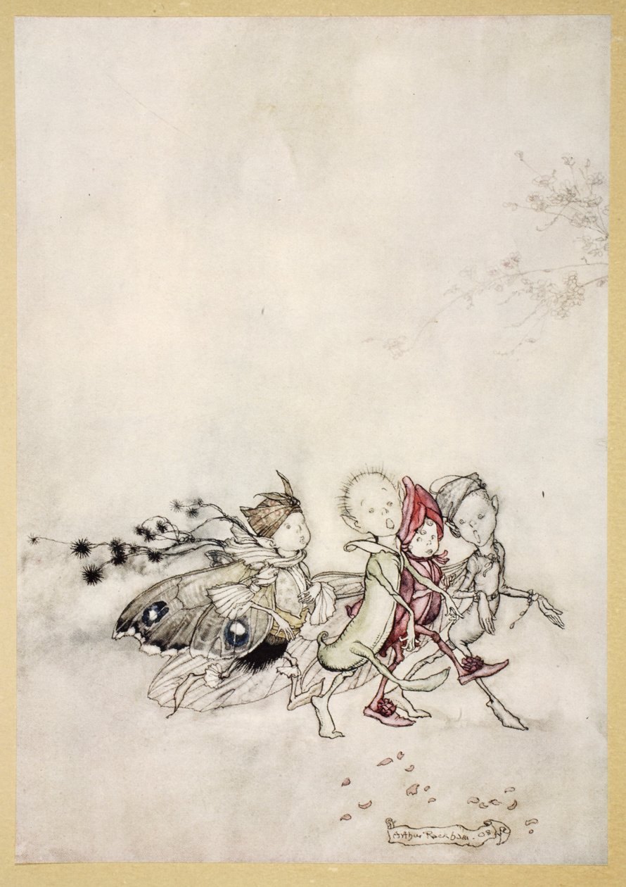 Entrano Peasebottom, Cobweb, Moth e Mustardseed, illustrazione da 
