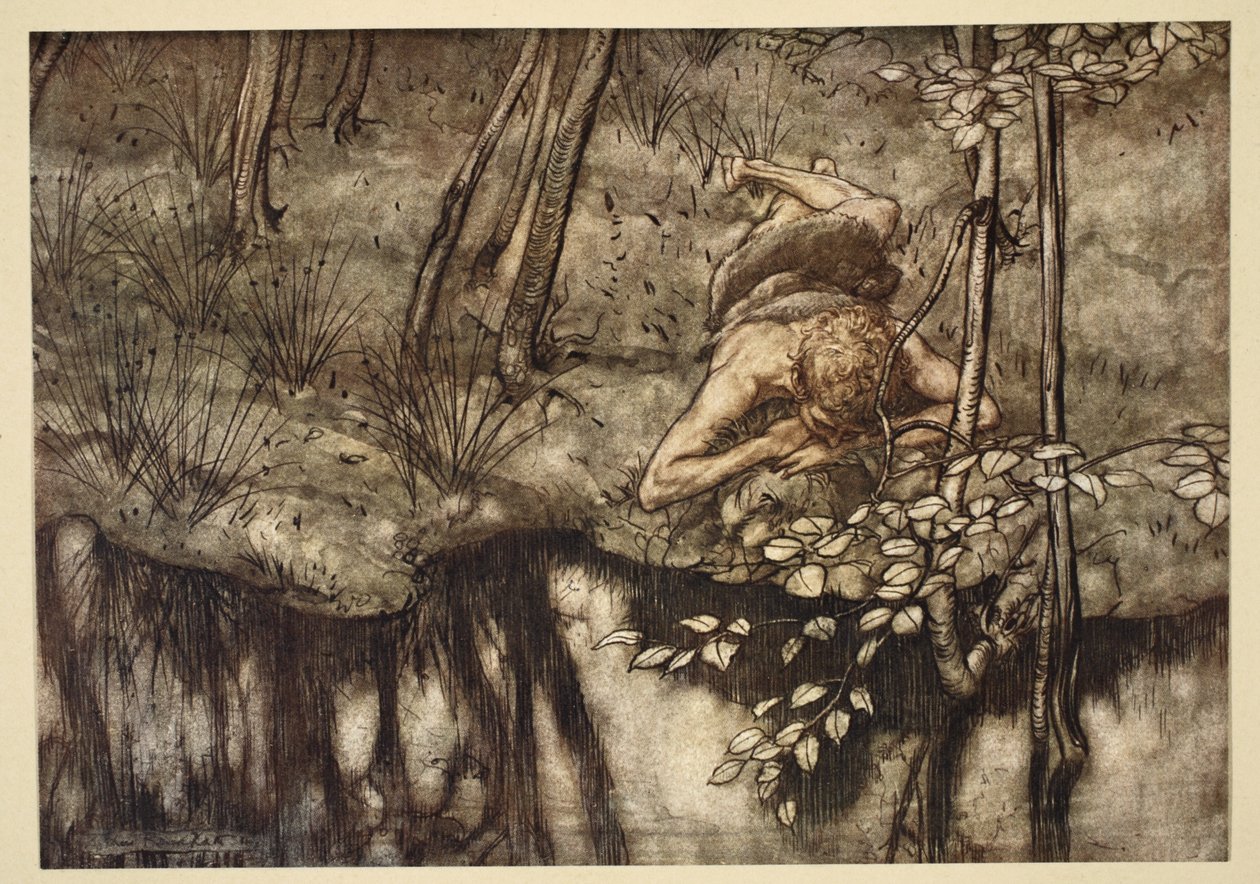 Siegfried si vede nel ruscello, illustrazione da 