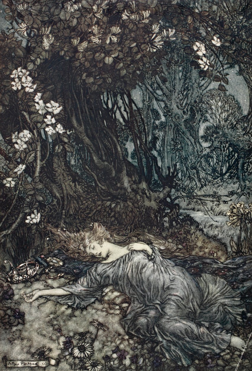 Titania addormentata, illustrazione da 