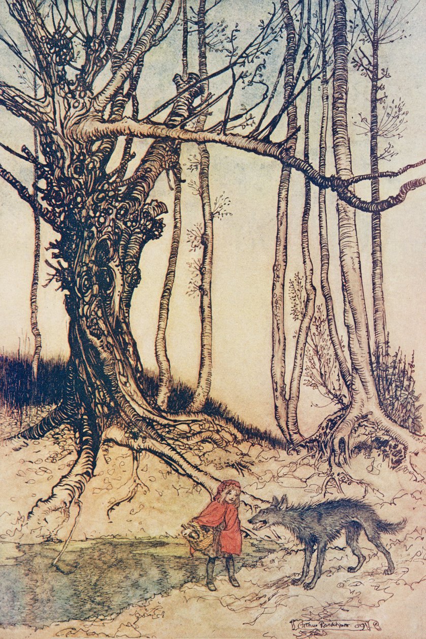 Quando arrivò al bosco incontrò un lupo, da Le fiabe dei fratelli Grimm, pub. 1909 da Arthur Rackham