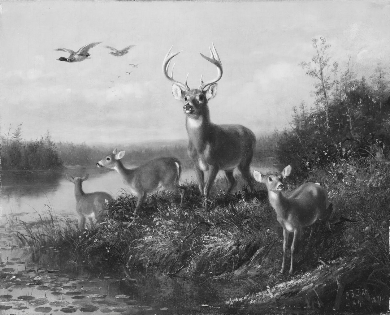 In Allerta, Cervo e Tre Daini, 1871 da Arthur Fitzwilliam Tait