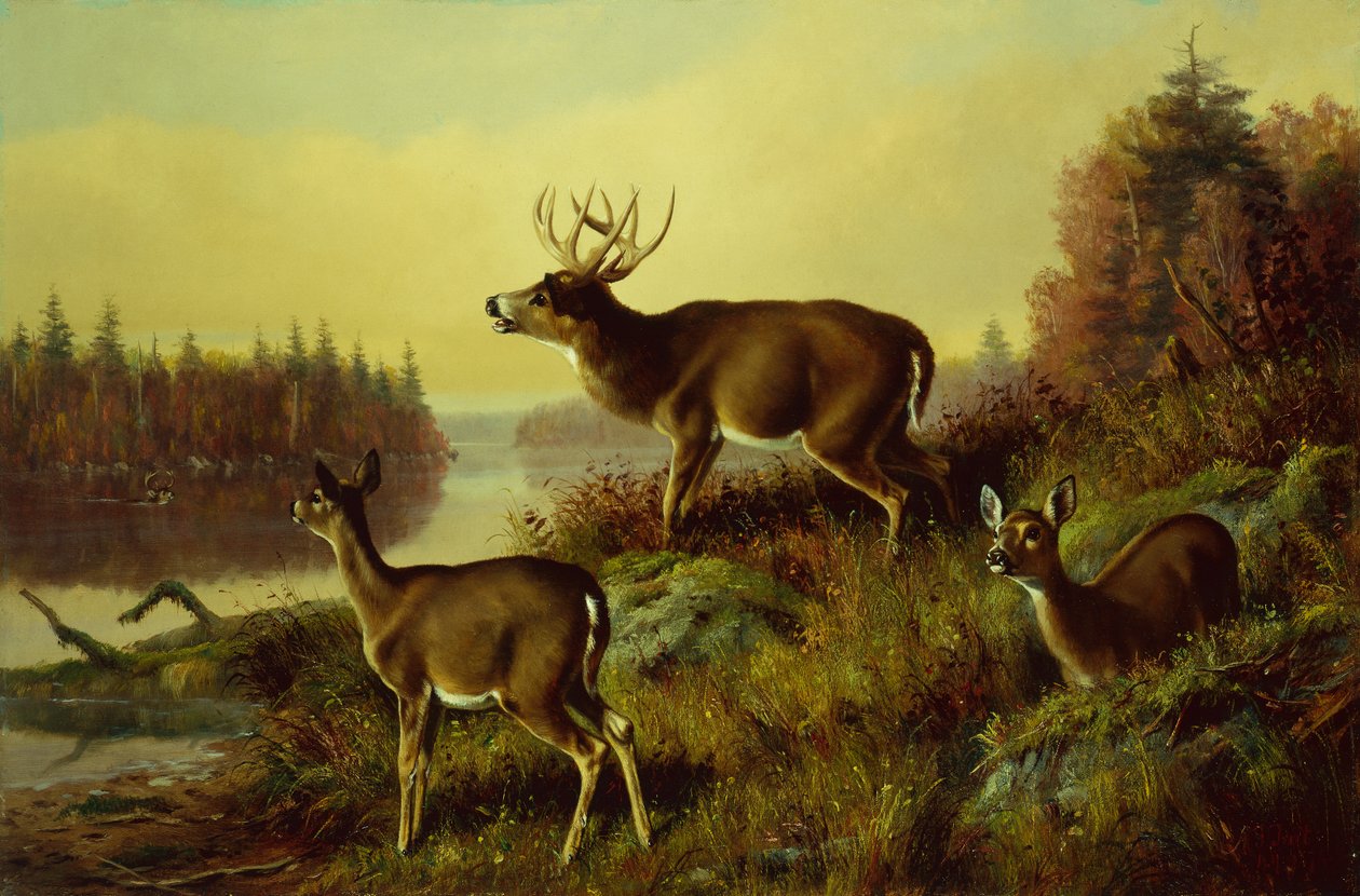 La sfida da Arthur Fitzwilliam Tait