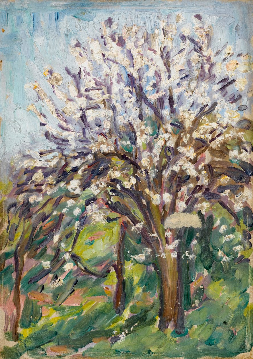 Fioritura di mandorli su un pendio da Arthur Haythorne Studd